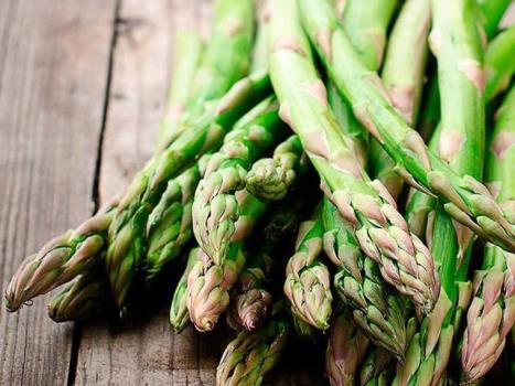 بررسی خاصیت های ضد دردی و آنتی اکسیدانی گیاه مارچوبه