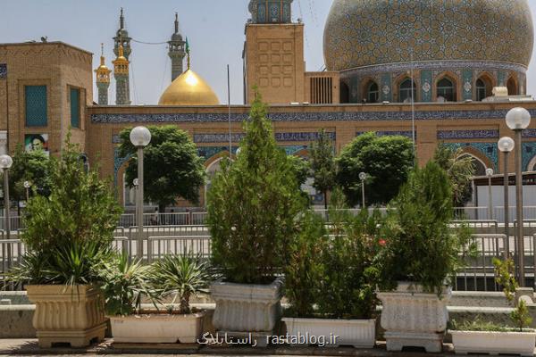 کاشت و نگهداری بیشتر از ۵۵۰ گل و گیاه در حرم مطهر حضرت معصومه(س)