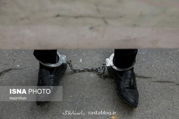 جستجوگران خارجی گنج در شمال تهران دستگیر شدند