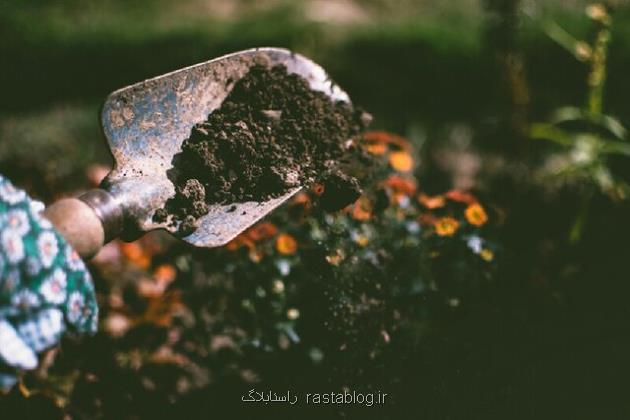 گرمای جهانی، مقاومت آنتی بیوتیکی خاک را زیاد می کند