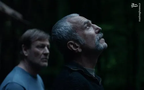 سقوط یک افسانه در مرداب خودشیفتگی دی لوییس