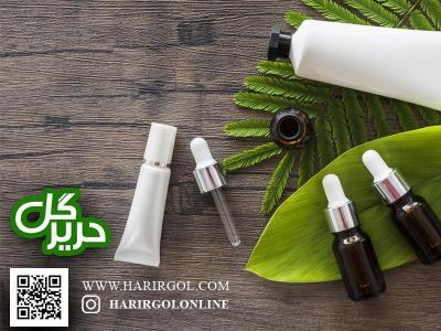 چند ترفند ساده برای زیبا كردن منزل با گیاهان آپارتمانی