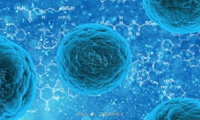 جهش های عامل سرطان در سلول های بنیادی انسان دیده نمی شوند