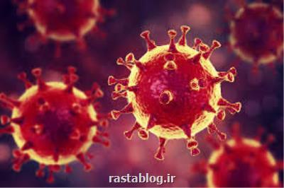 تاثیر واكنش پادتن در نتایج ناشی از كووید-۱۹