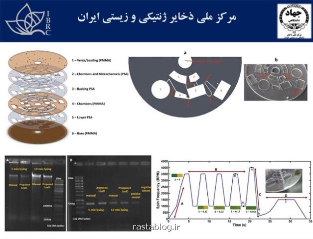 موفقیت محققان ایرانی در توسعه فناوری استخراج اتوماتیك و میكروفلویدیك DNA سلولی